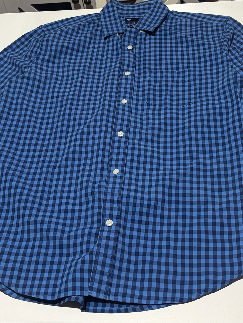 GAP Blue and Black Check Button-Down Shirt